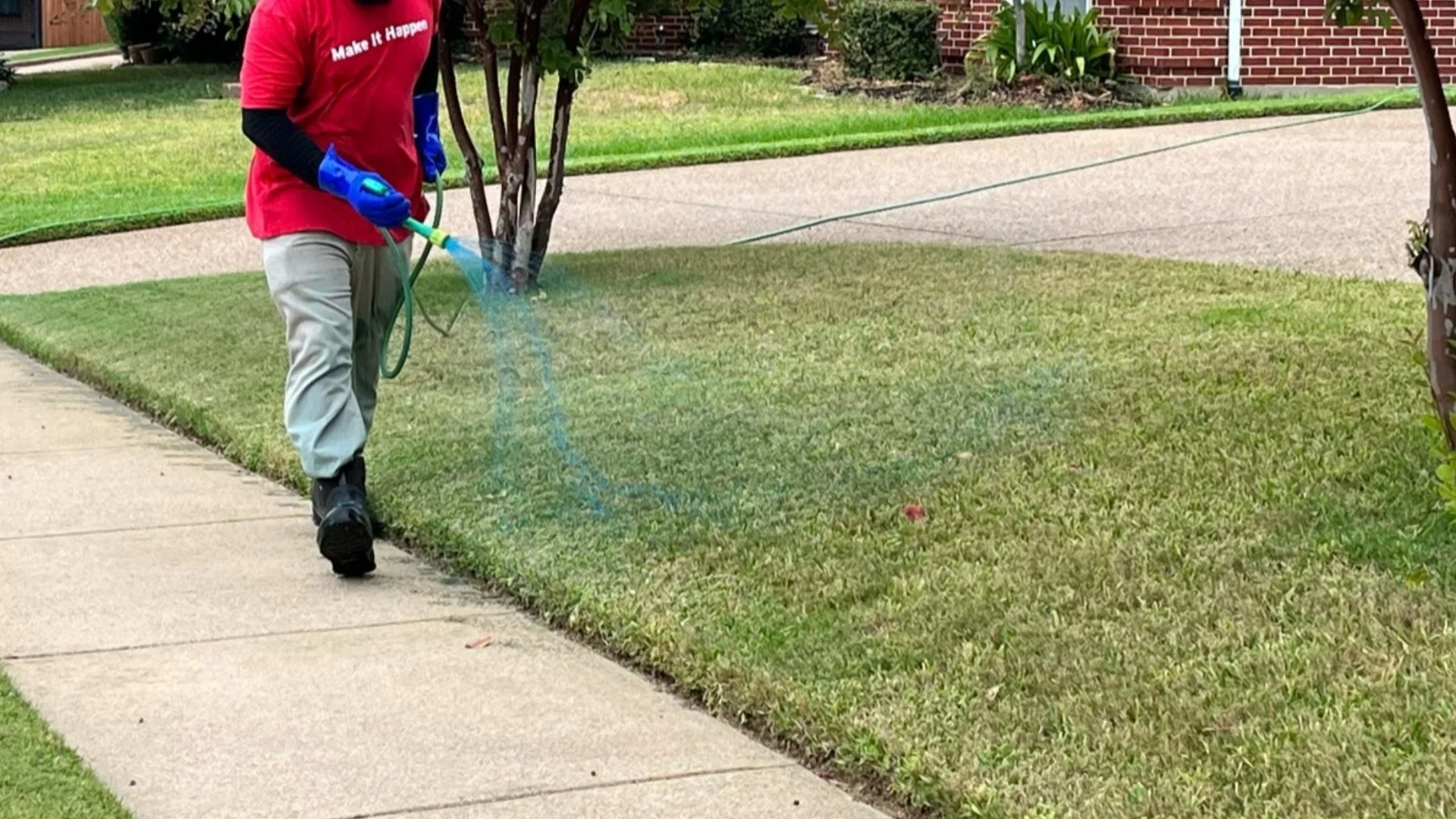 Pre-Emergent Weed Control: What Is It & Does My Lawn Need It?