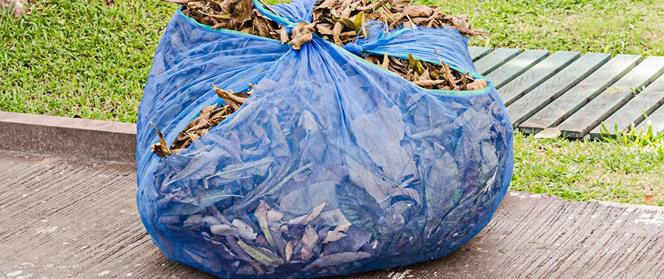Bagged leaves for removal in Watauga, TX.