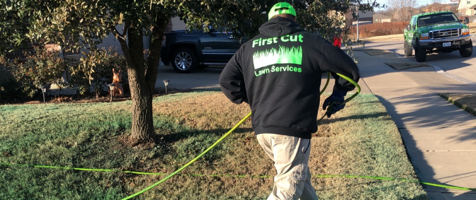 First Cut professional spraying lawn with weed control treatment in Watauga, TX.