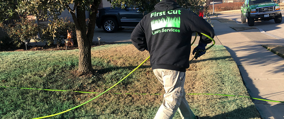 Professional from First Cut applying fertilizer to lawn in Blue Mound, TX.