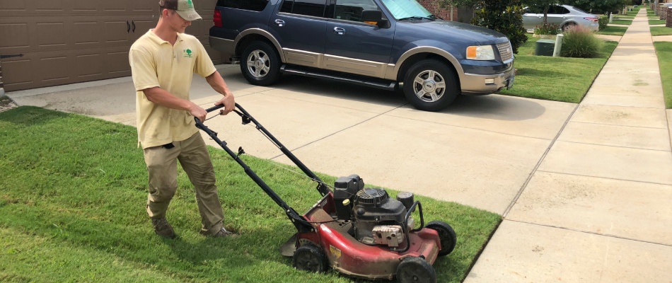 First Cut worker mowing lawn with a push mower in White Settlement, TX.