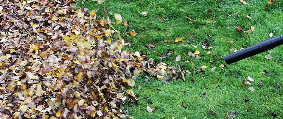 Leaves being removed in a lawn in Westover Hills, TX.