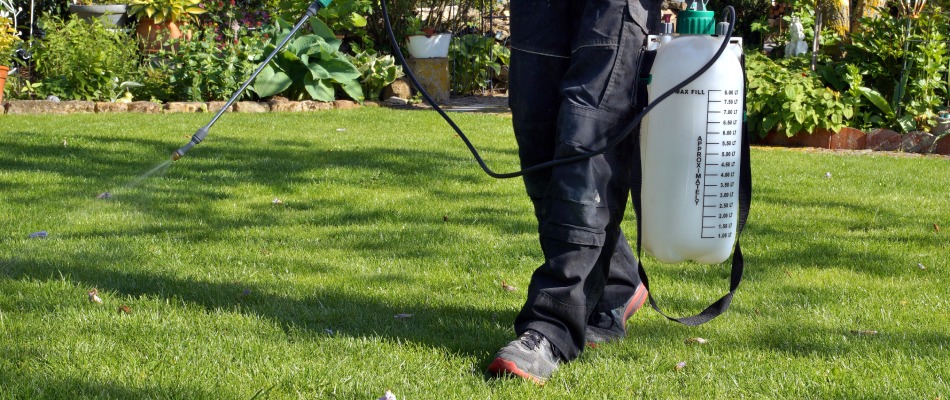 Professional applying mosquito control to lawn in Saginaw, TX.