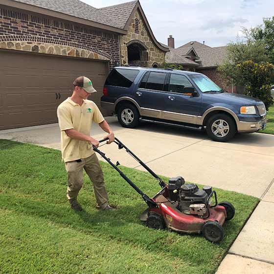 First Cut Lawn Services providing lawn mowing service in Saginaw, TX.